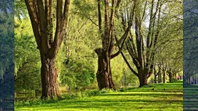 Les parcelles situées dans le parc résidentiel de loisirs sont assimilées à des terrains à bâtir au sens de la TVA