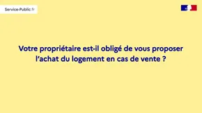 Votre propriétaire est-il obligé de vous proposer l'achat de son logement en cas de vente ?