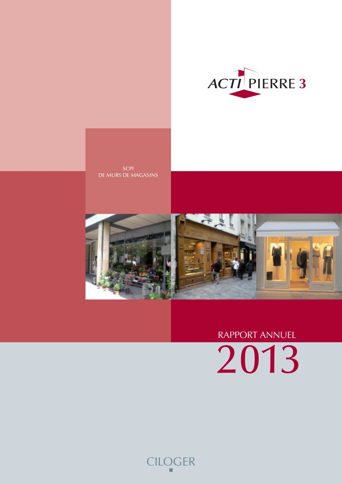 Rapport annuel - 2013