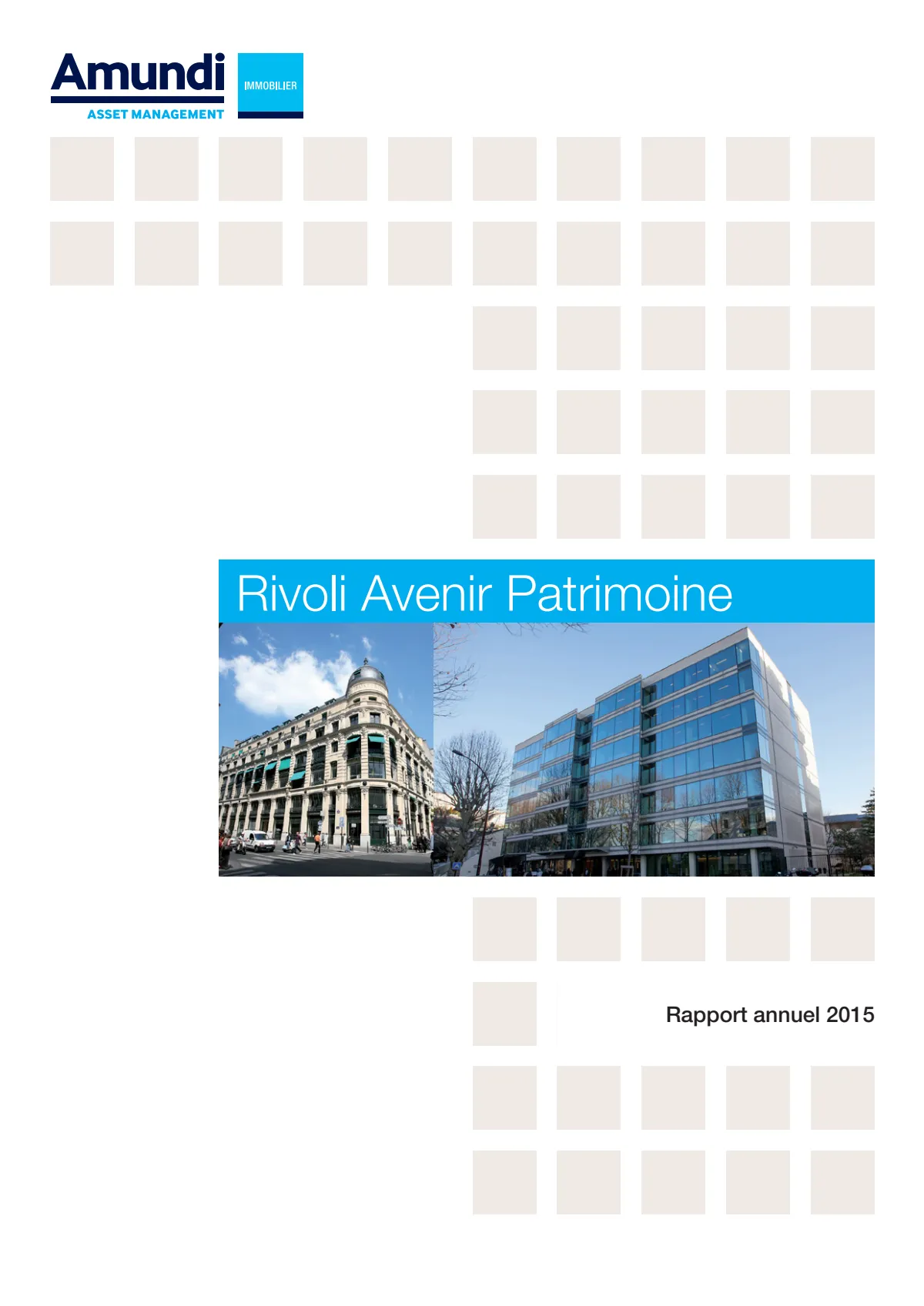 Rapport annuel - 2015