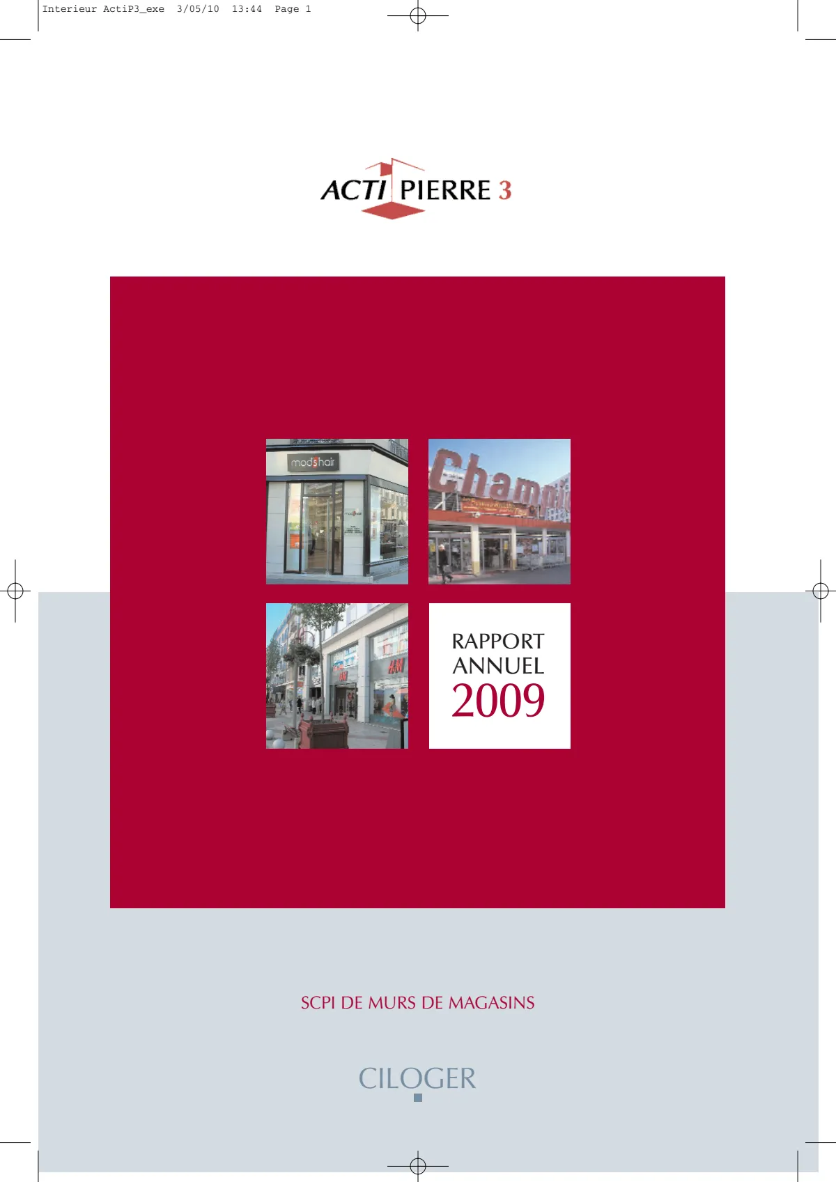 Rapport annuel - 2009