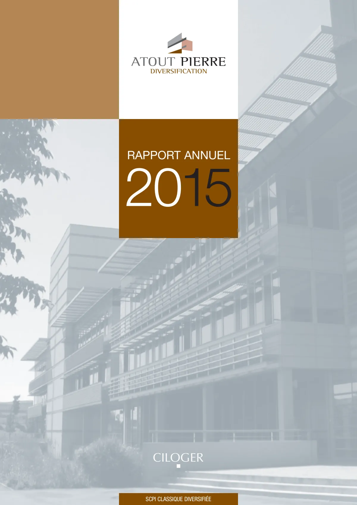 Rapport annuel - 2015