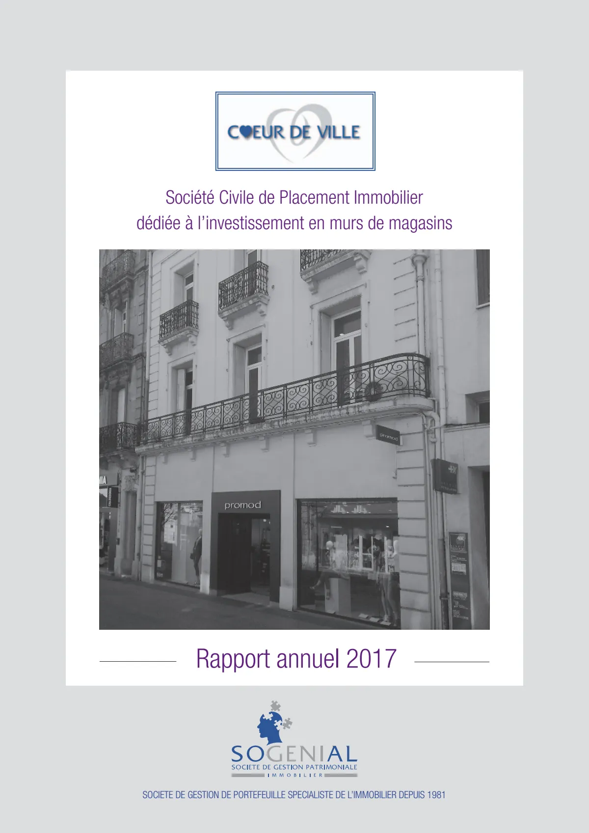 Rapport annuel - 2017