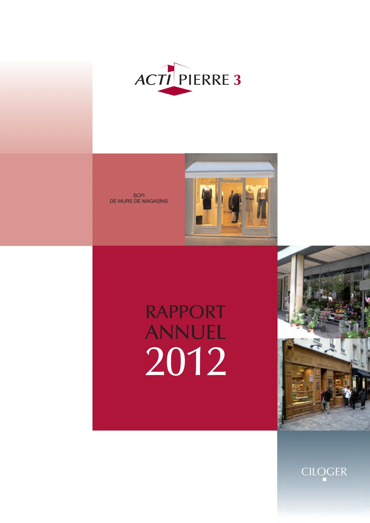 Rapport annuel - 2012