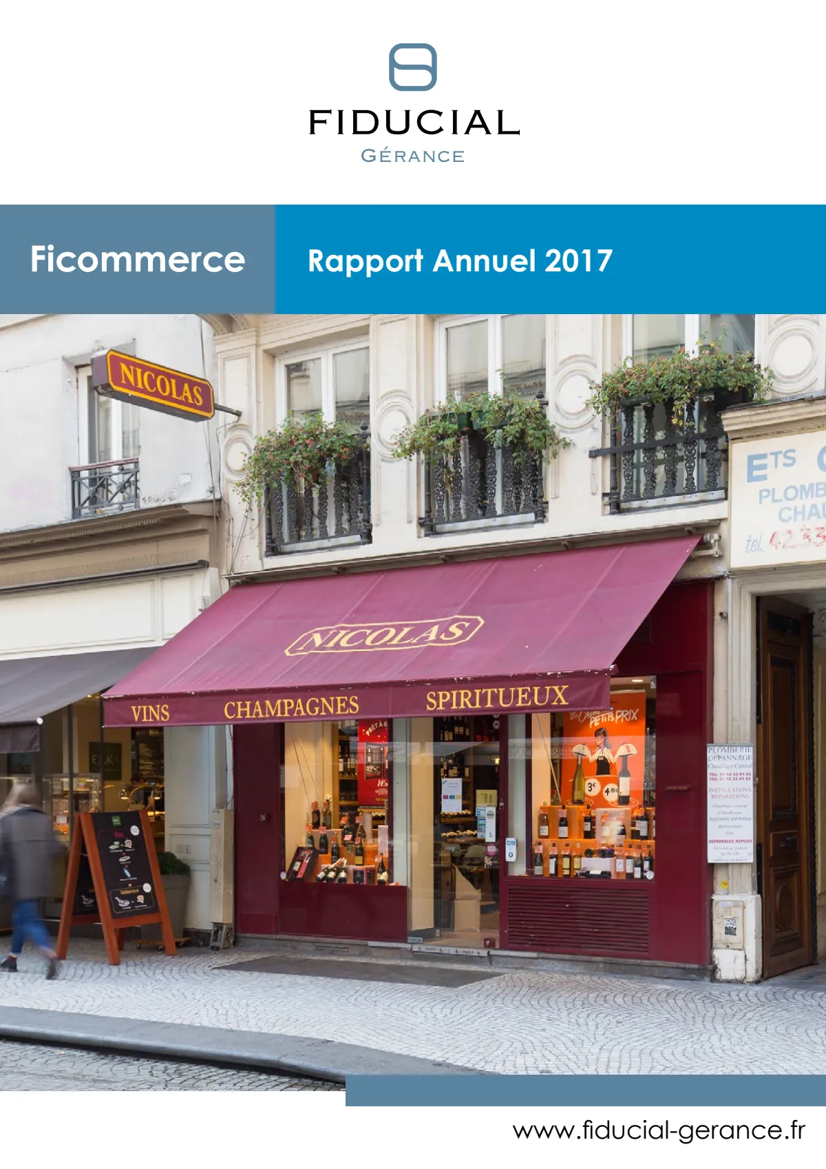 Rapport annuel - 2017