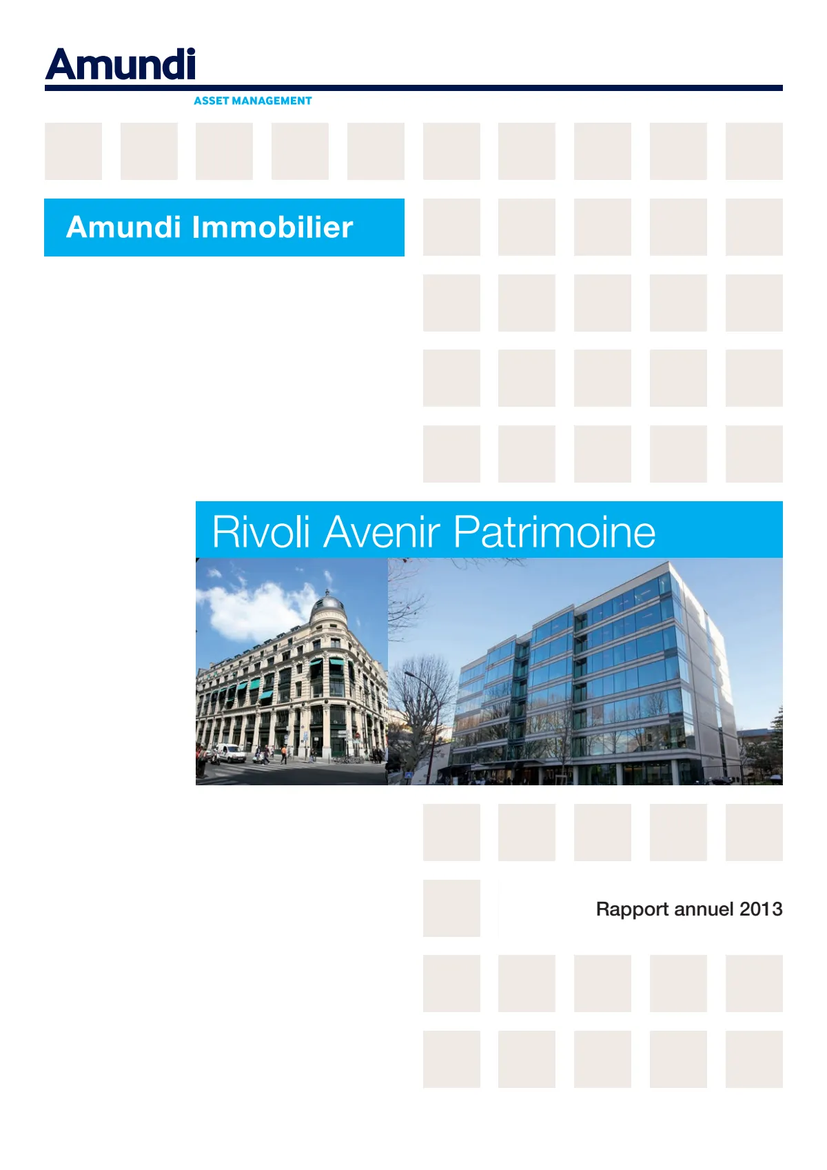 Rapport annuel - 2013