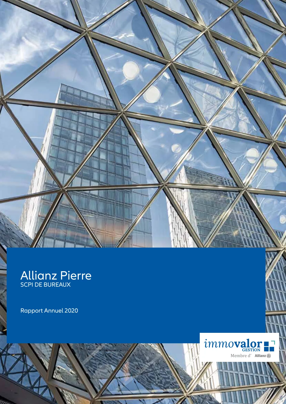 Rapport annuel - 2020