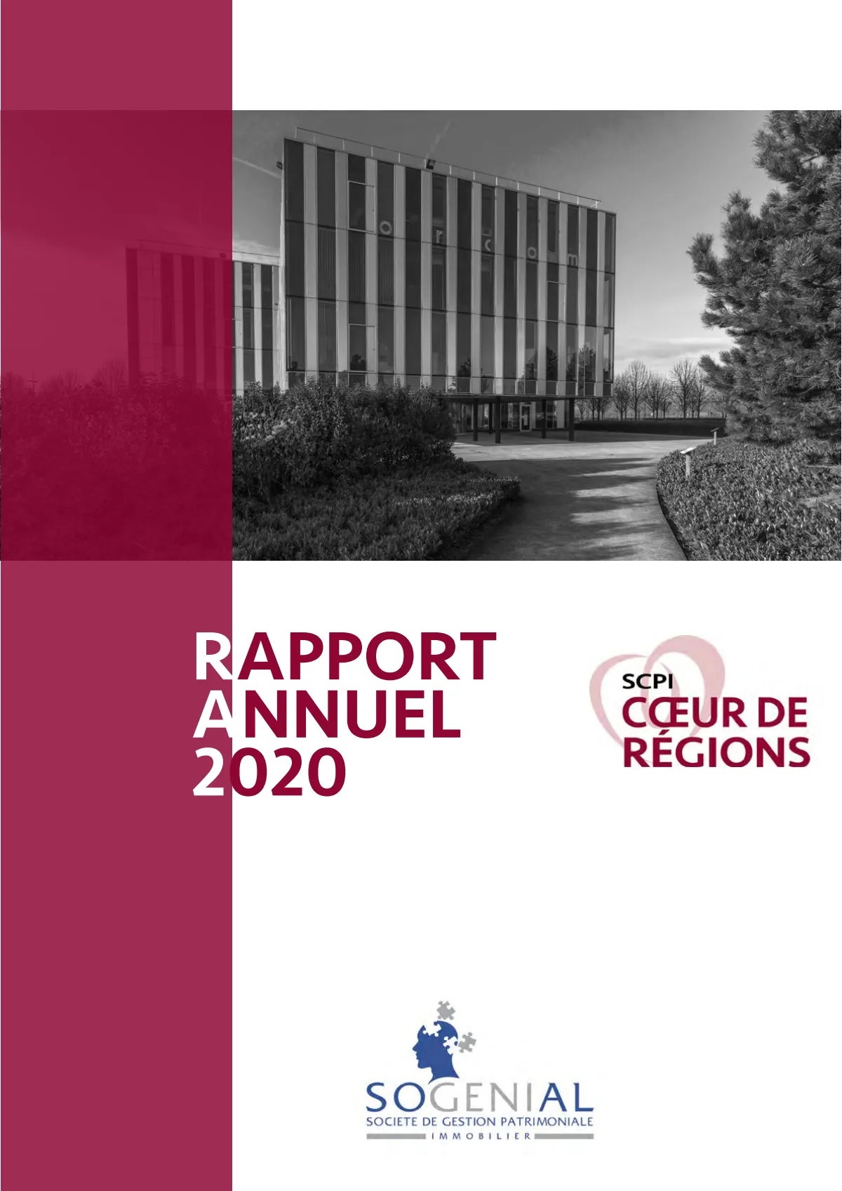 Rapport annuel - 2020