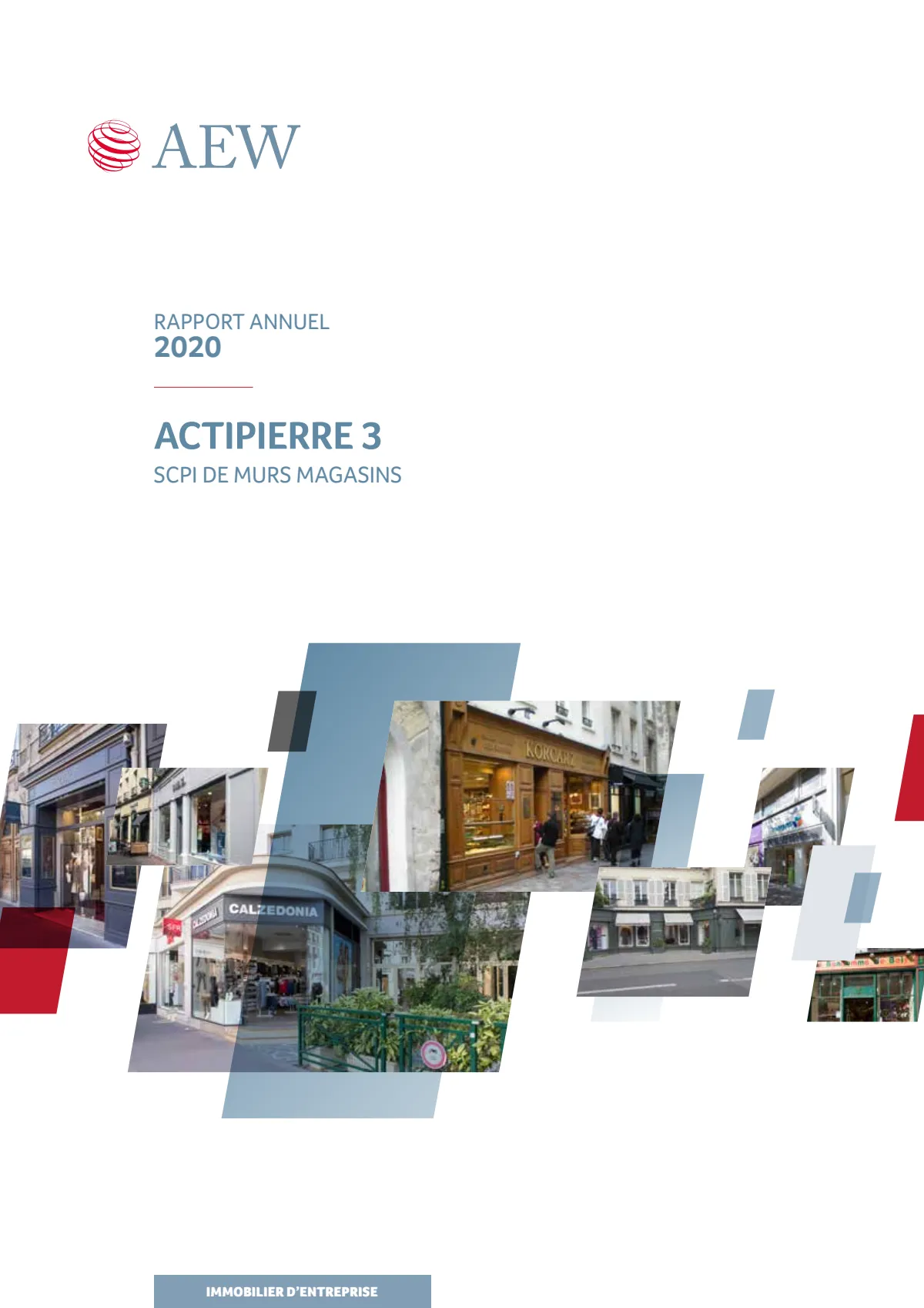 Rapport annuel - 2020