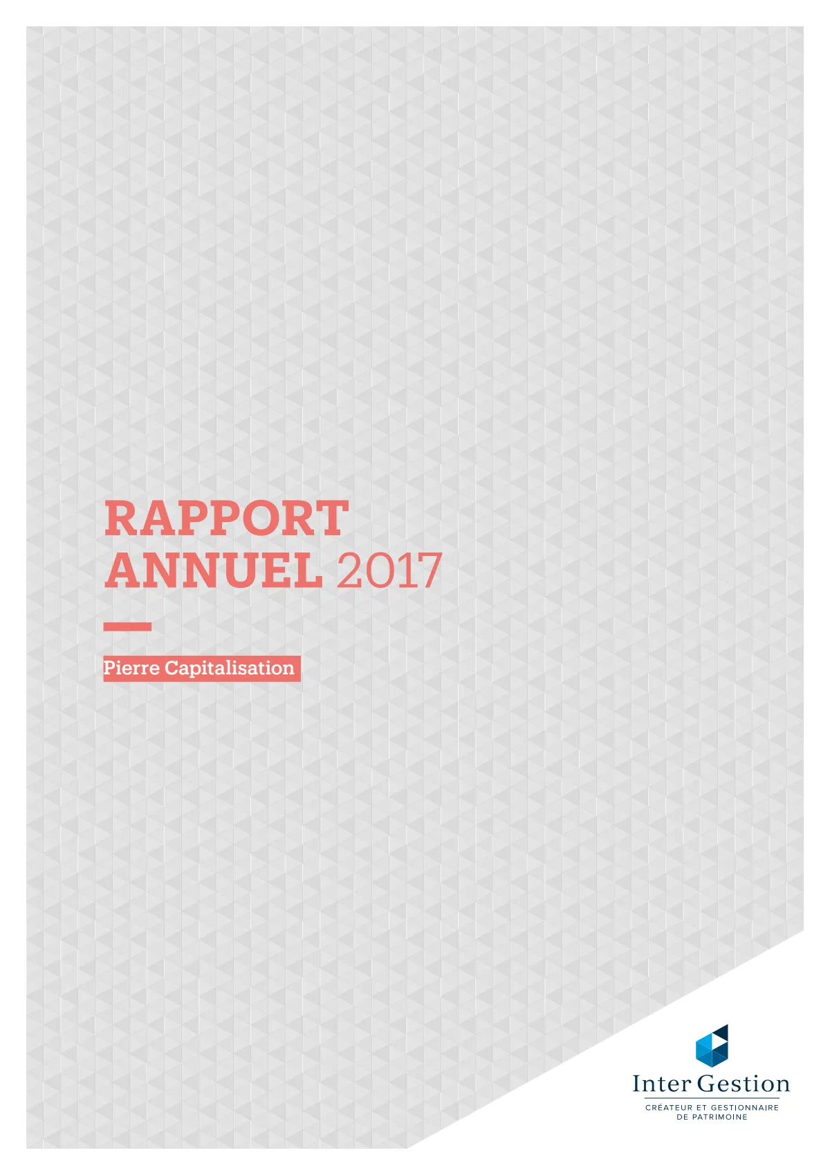 Rapport annuel - 2017