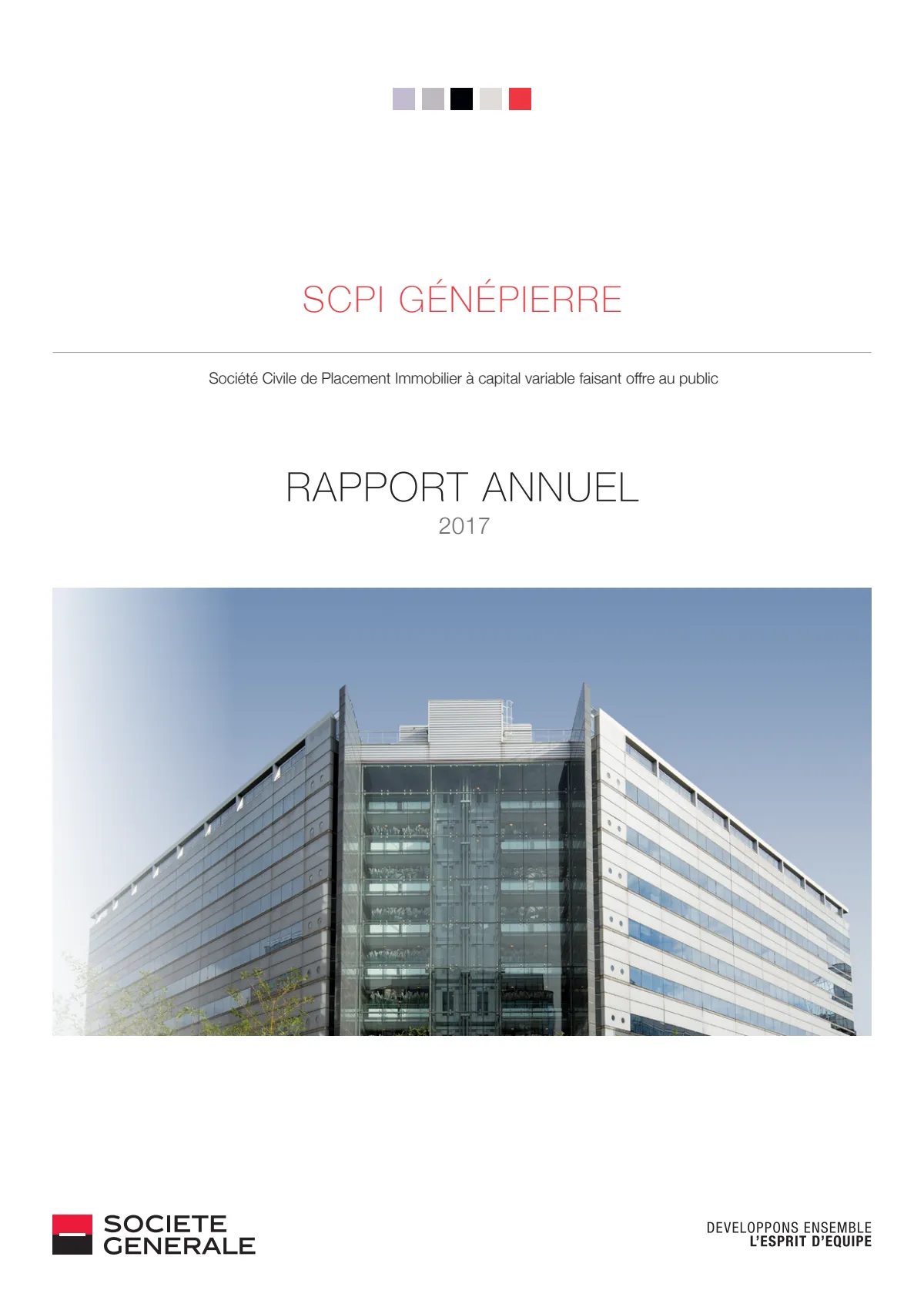 Rapport annuel - 2017