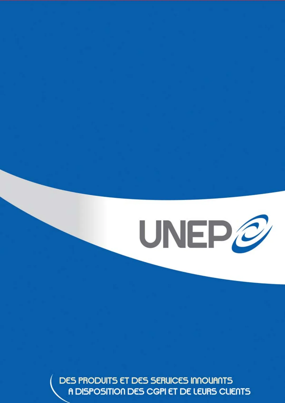 UNEP Capitalisation