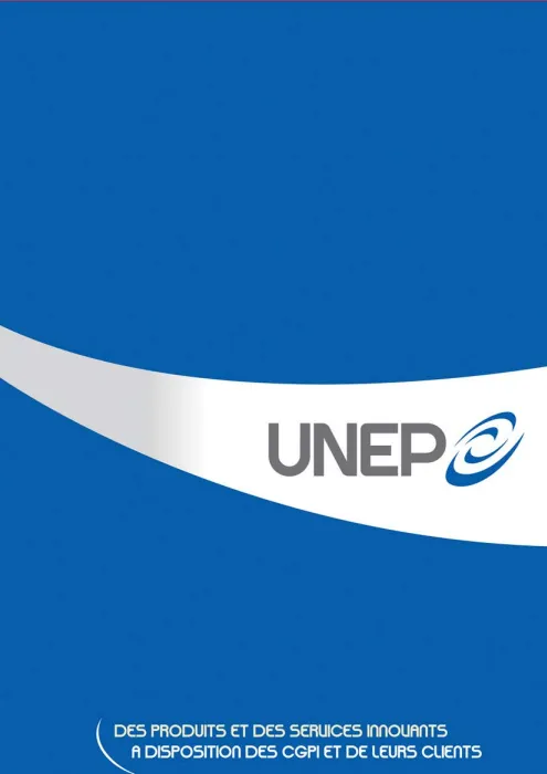 UNEP Capitalisation