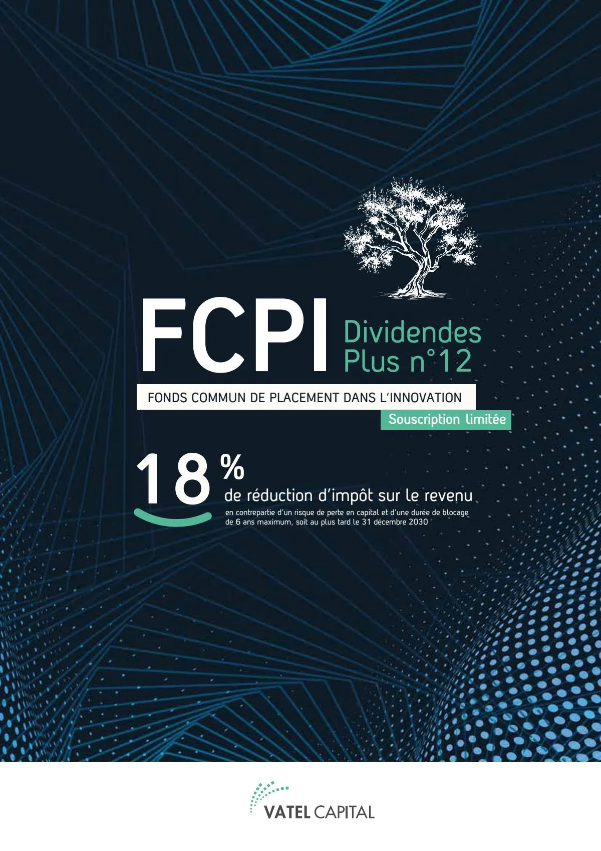 FCPI Dividendes Plus n°12